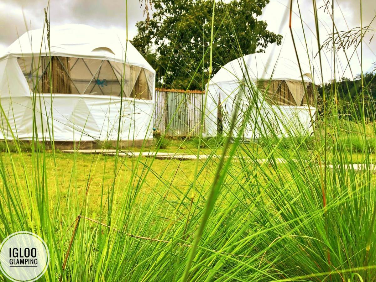 Igloo Glamping Bali Hotel Kintamani  Exterior photo